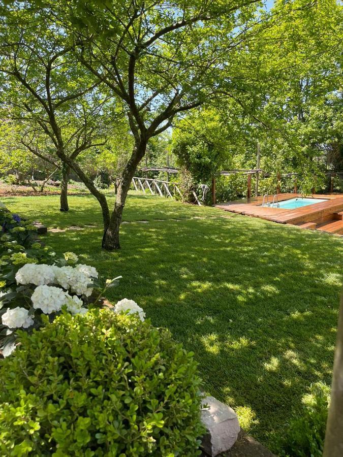 Villa Spartano Sant'Agata Sui Due Golfi Massalubrense 马萨鲁布朗斯 外观 照片